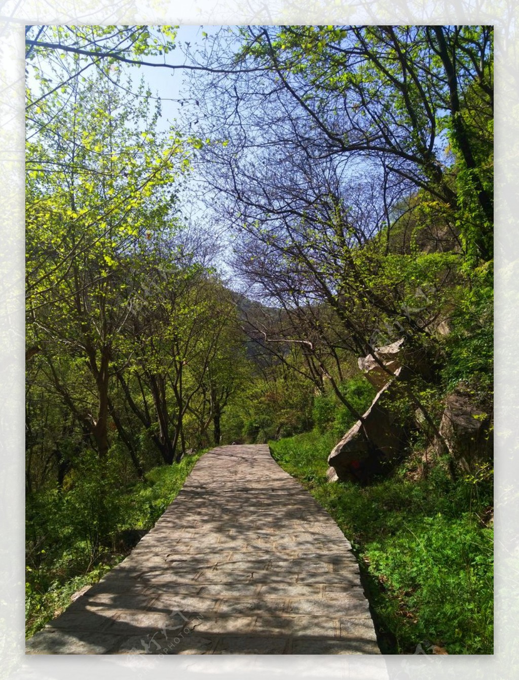 美丽的山路风景