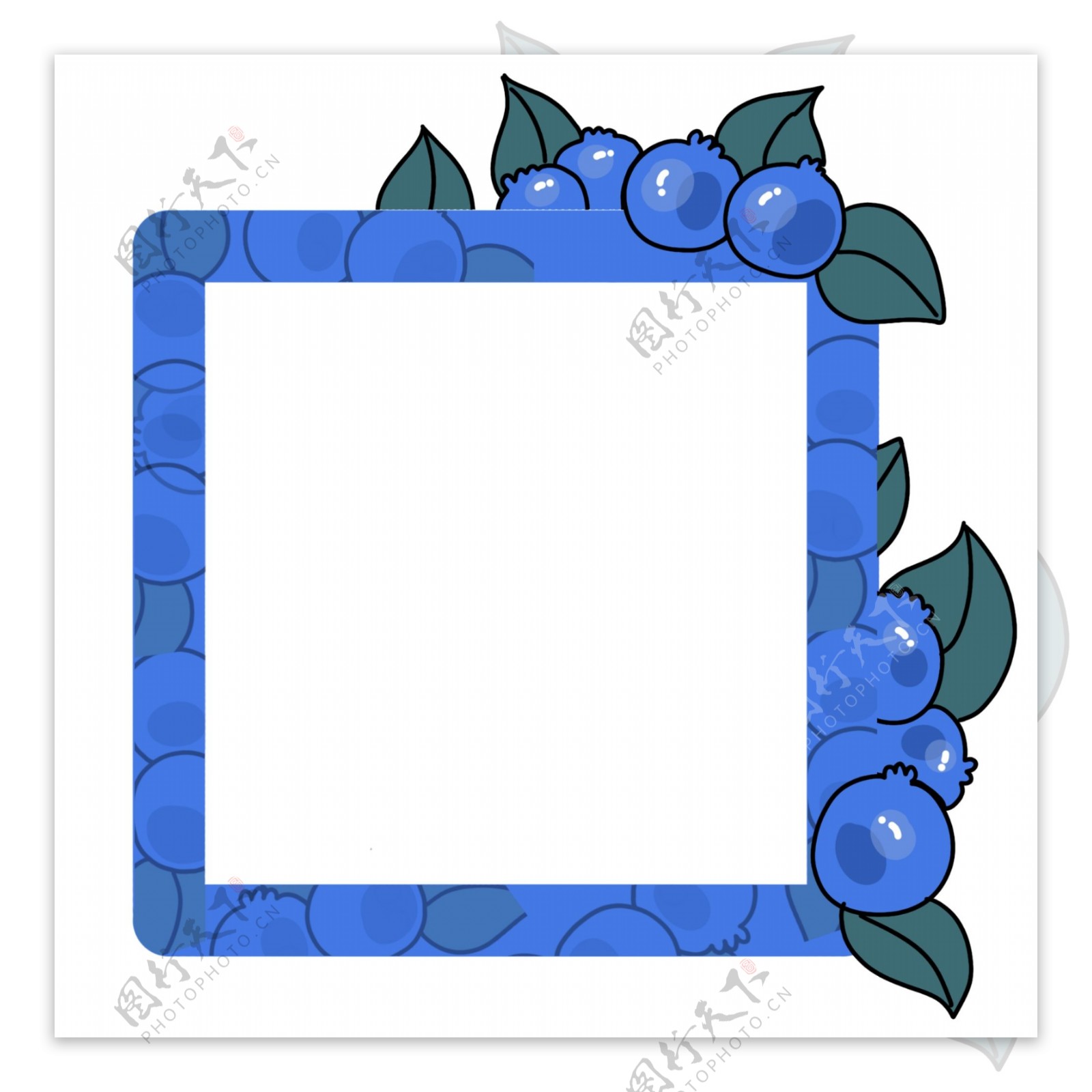 蓝莓果实边框插画