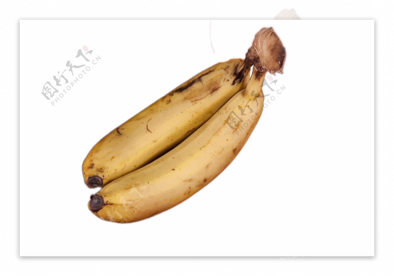 两根香甜软糯的香蕉