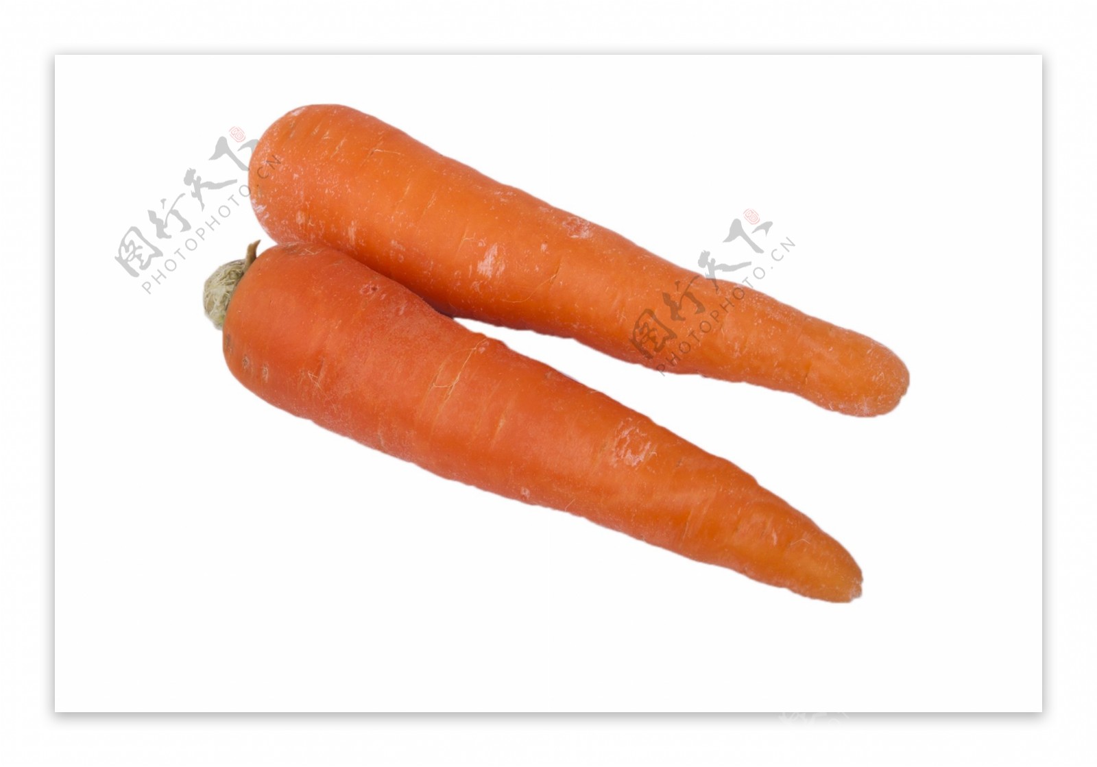 两根美味营养的胡萝卜