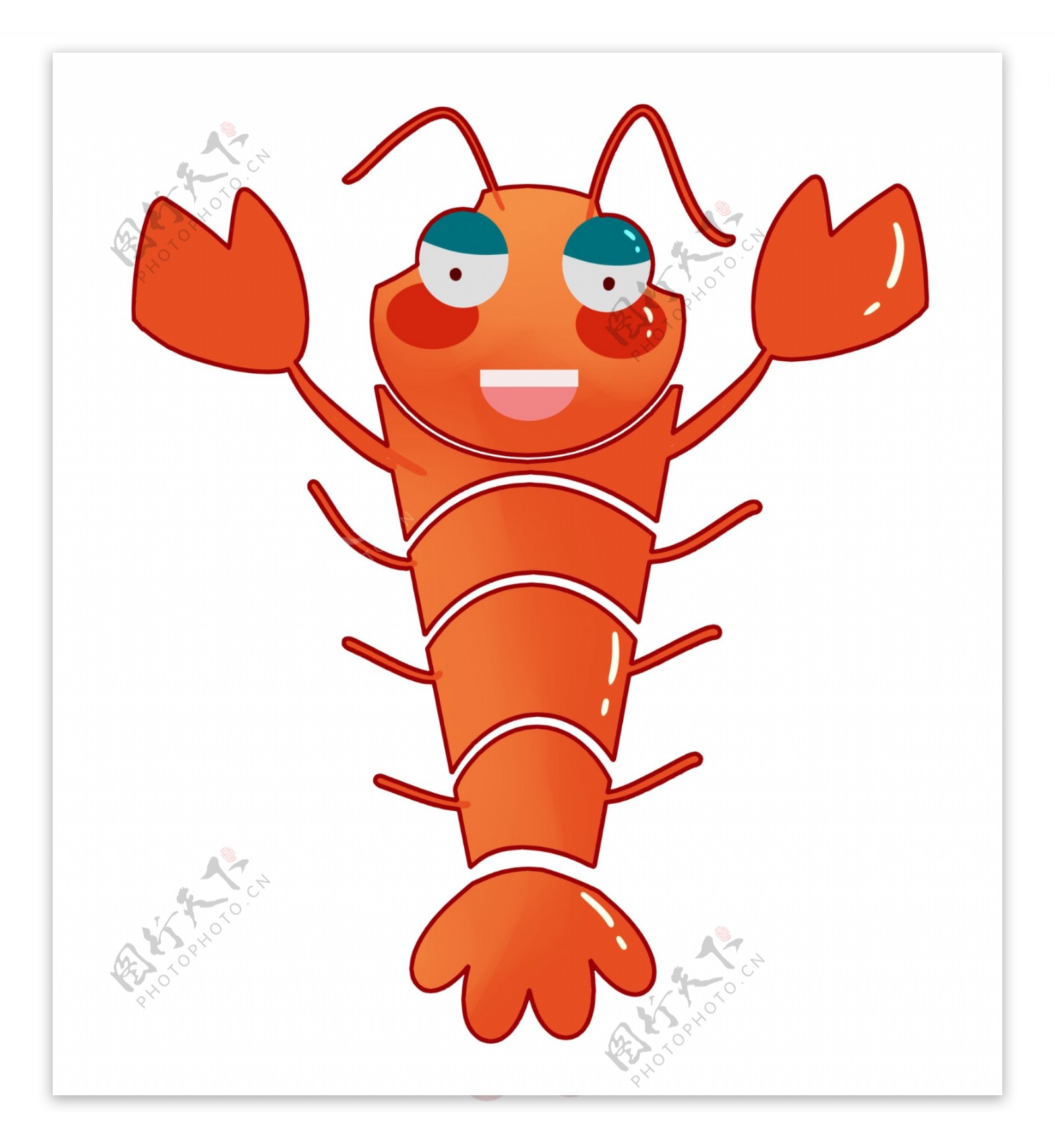 煮熟的龙虾装饰插画
