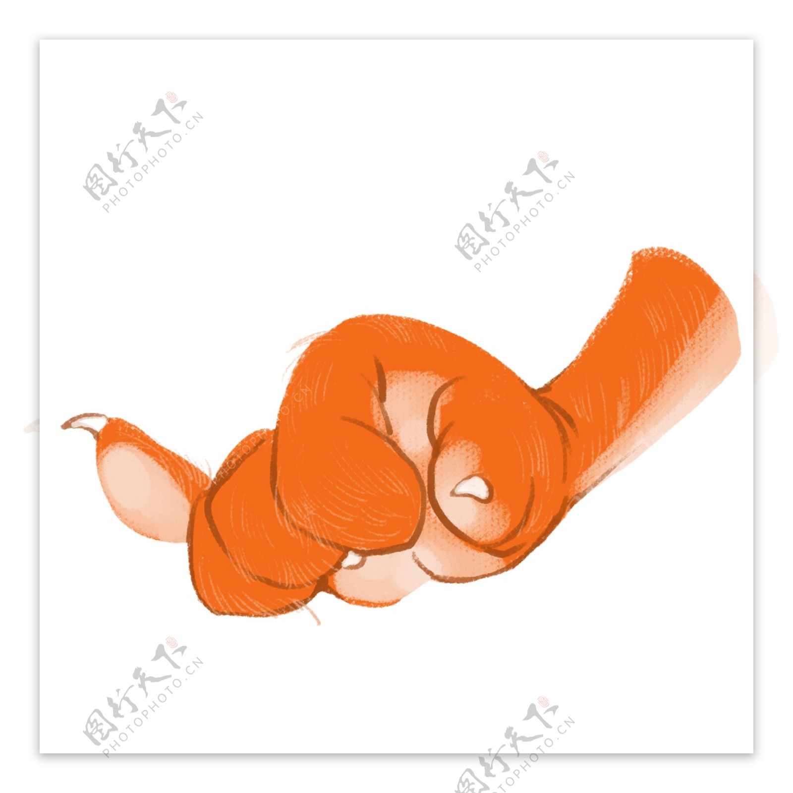 一只动物的手爪插画