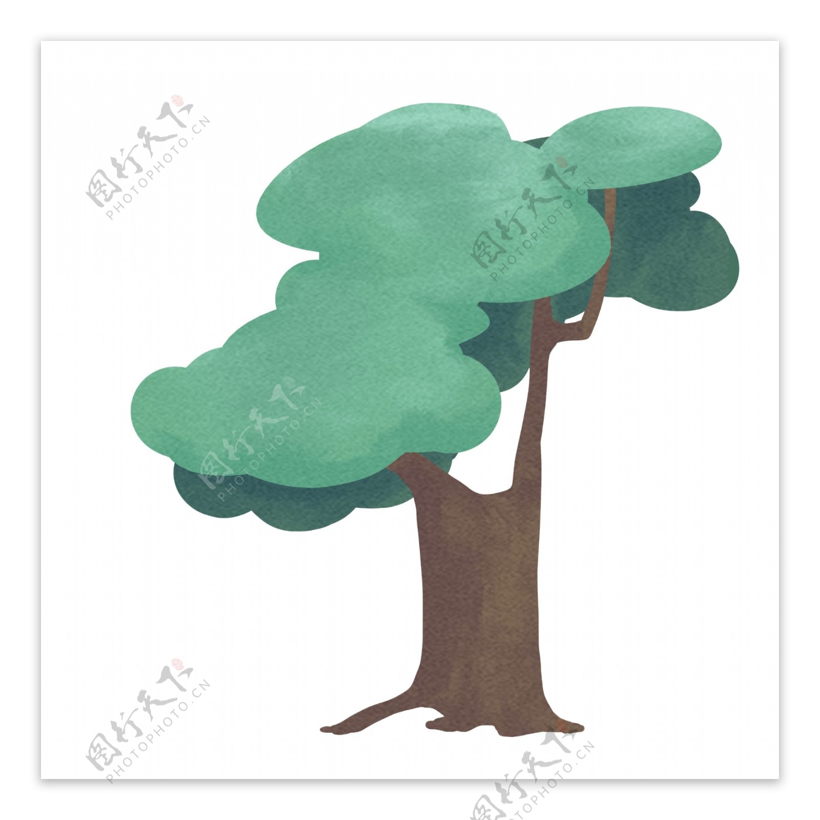 绿化树植物树木插画