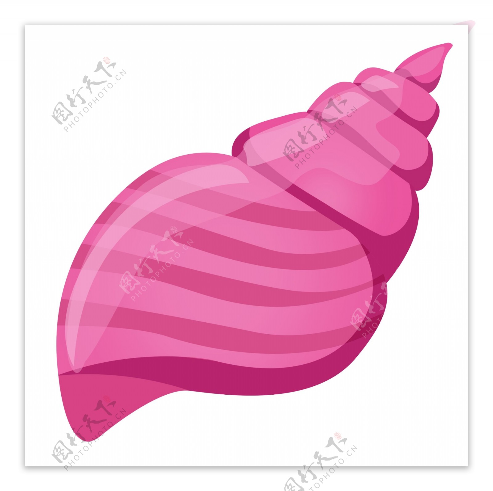 粉色卡通海螺