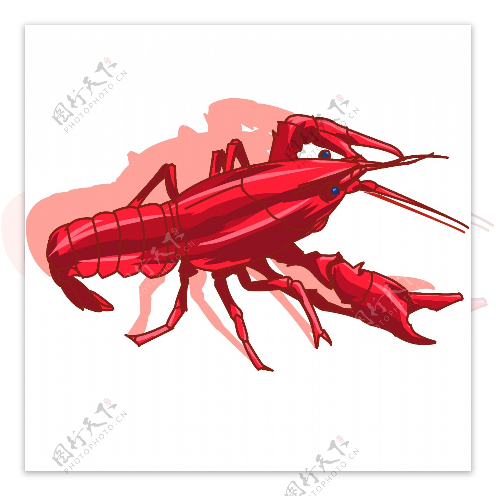 红色海鲜小龙虾
