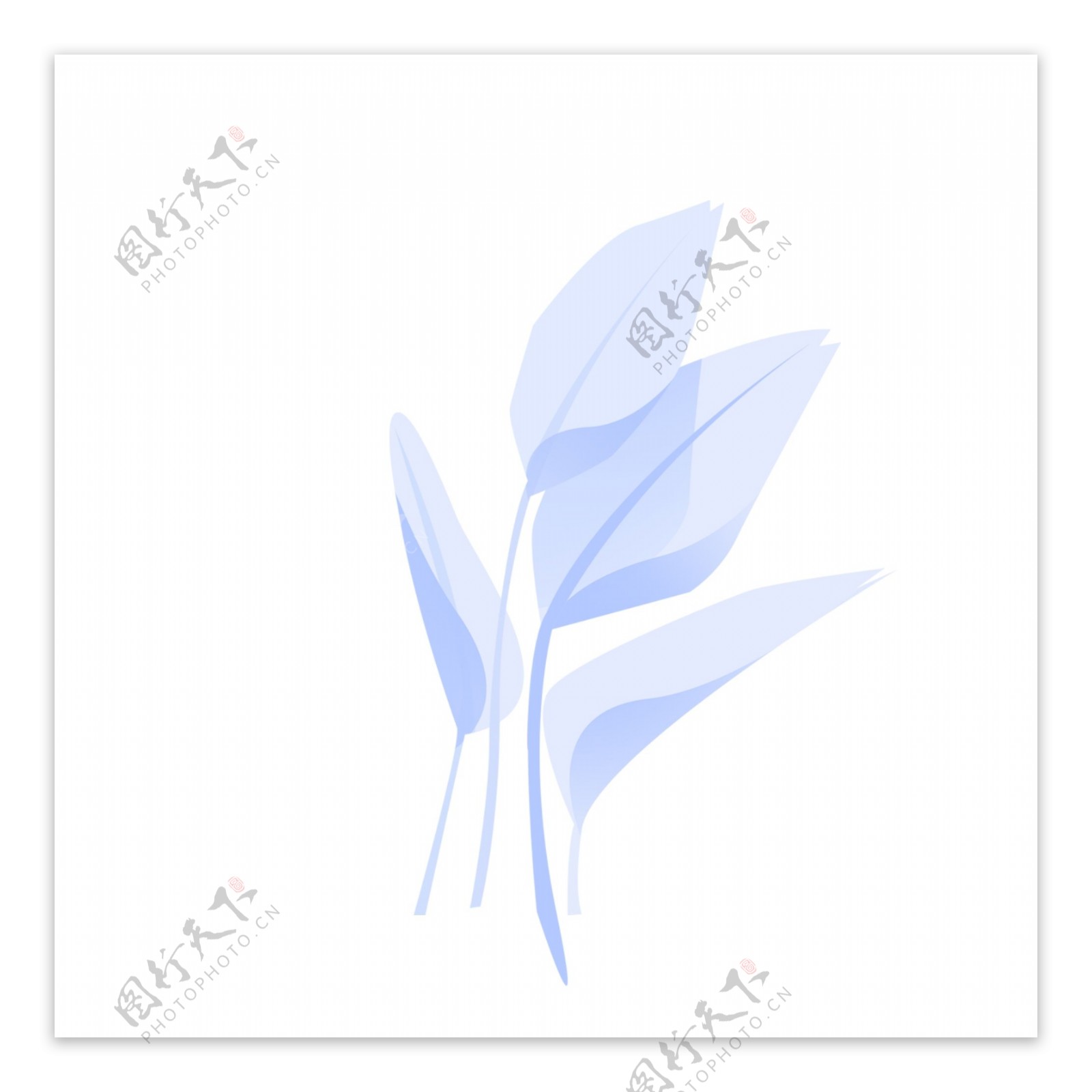 蓝白植物叶子免扣图