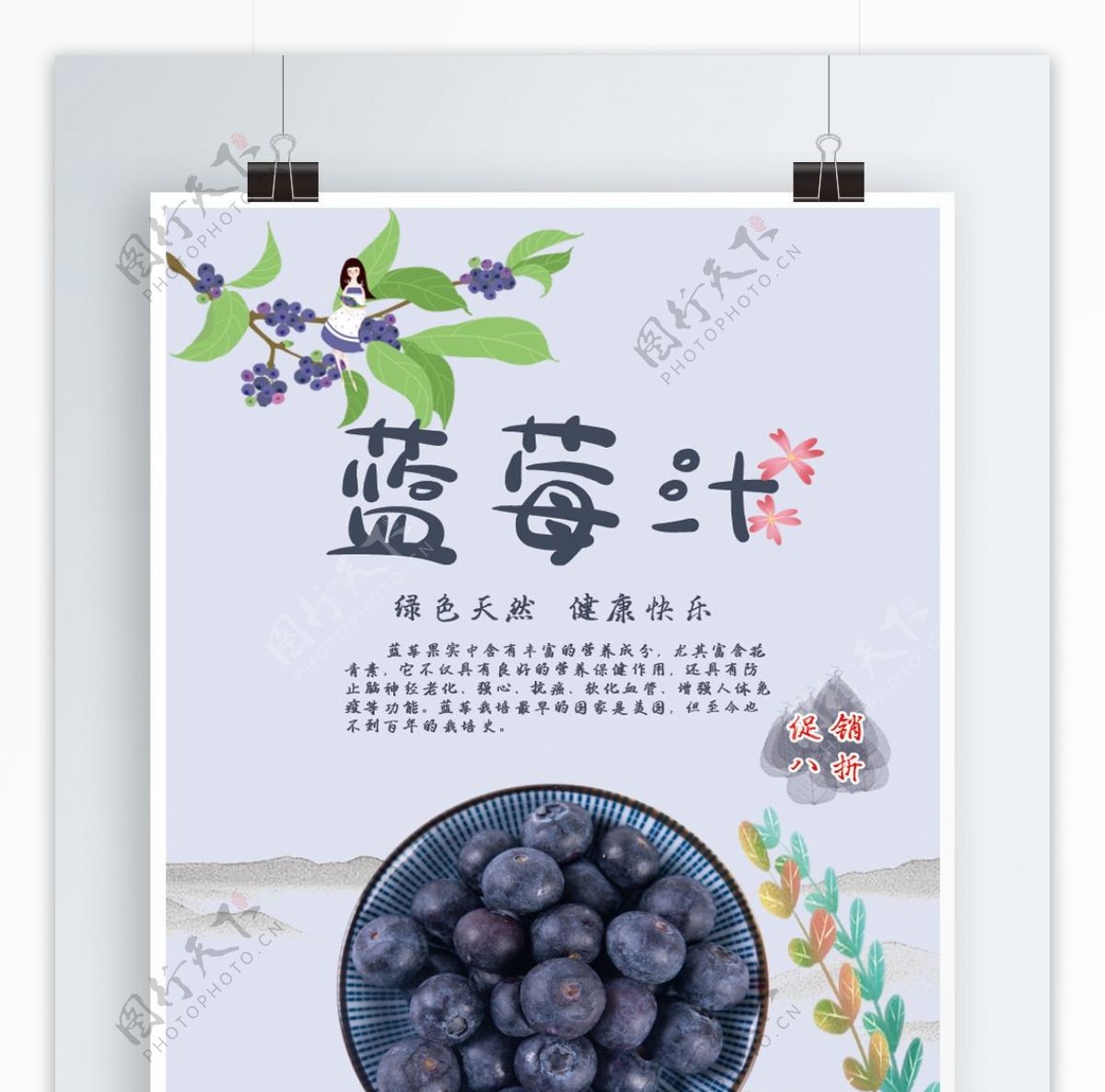 水果蓝莓促销海报
