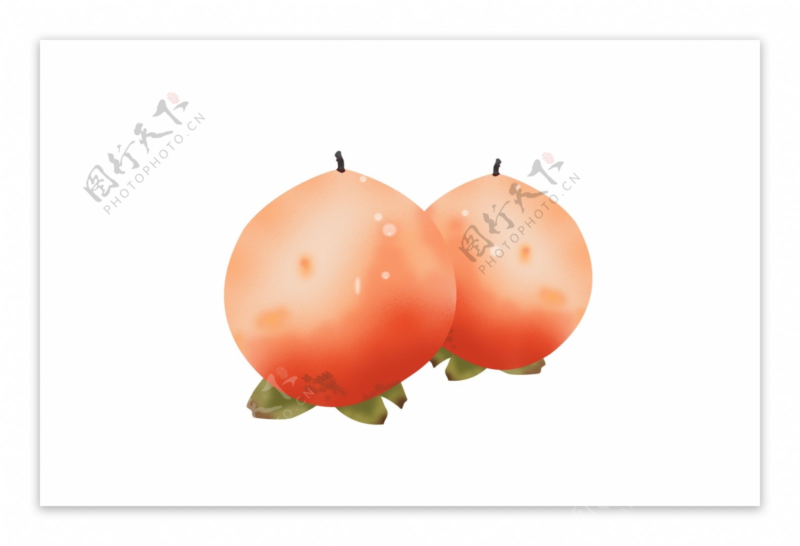 原创小清新手绘柿子插画元素