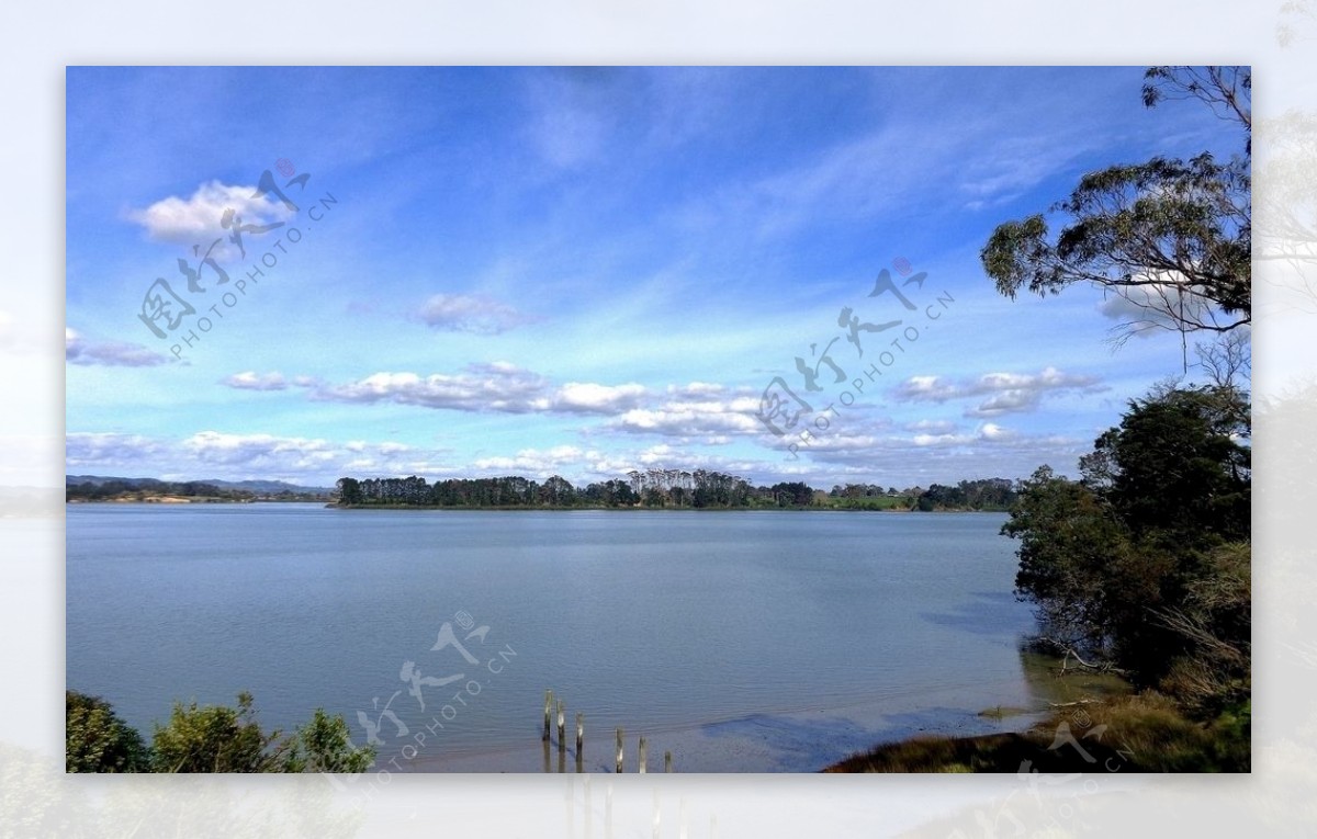 奥克兰海滨自然风景