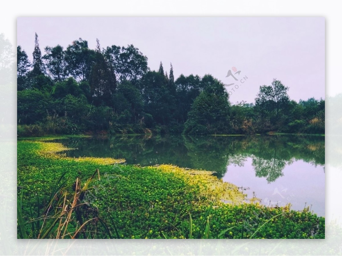 四川旅游崇州桤木河湿地公园
