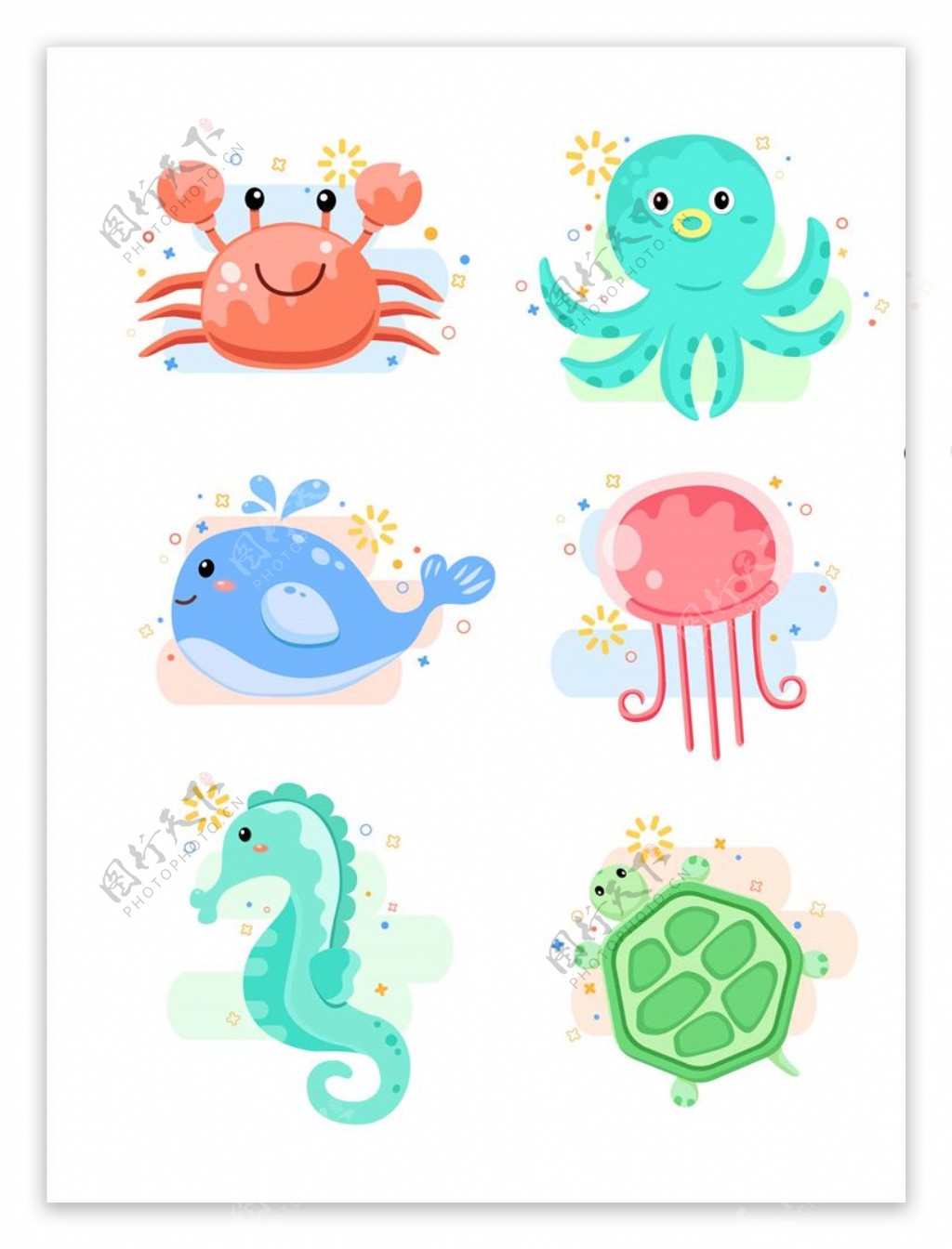 海洋动物