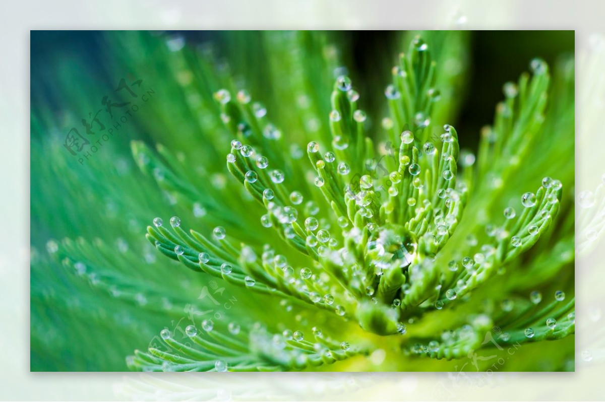 水珠水纹雨滴