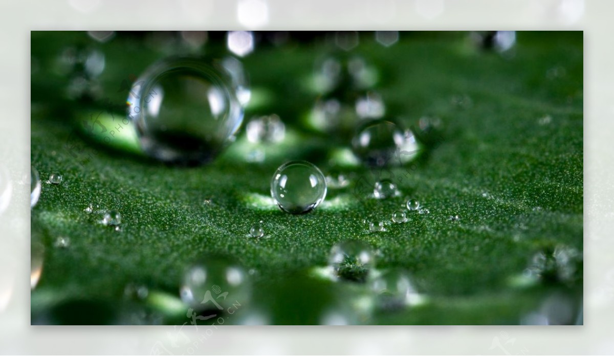 水珠水纹雨滴