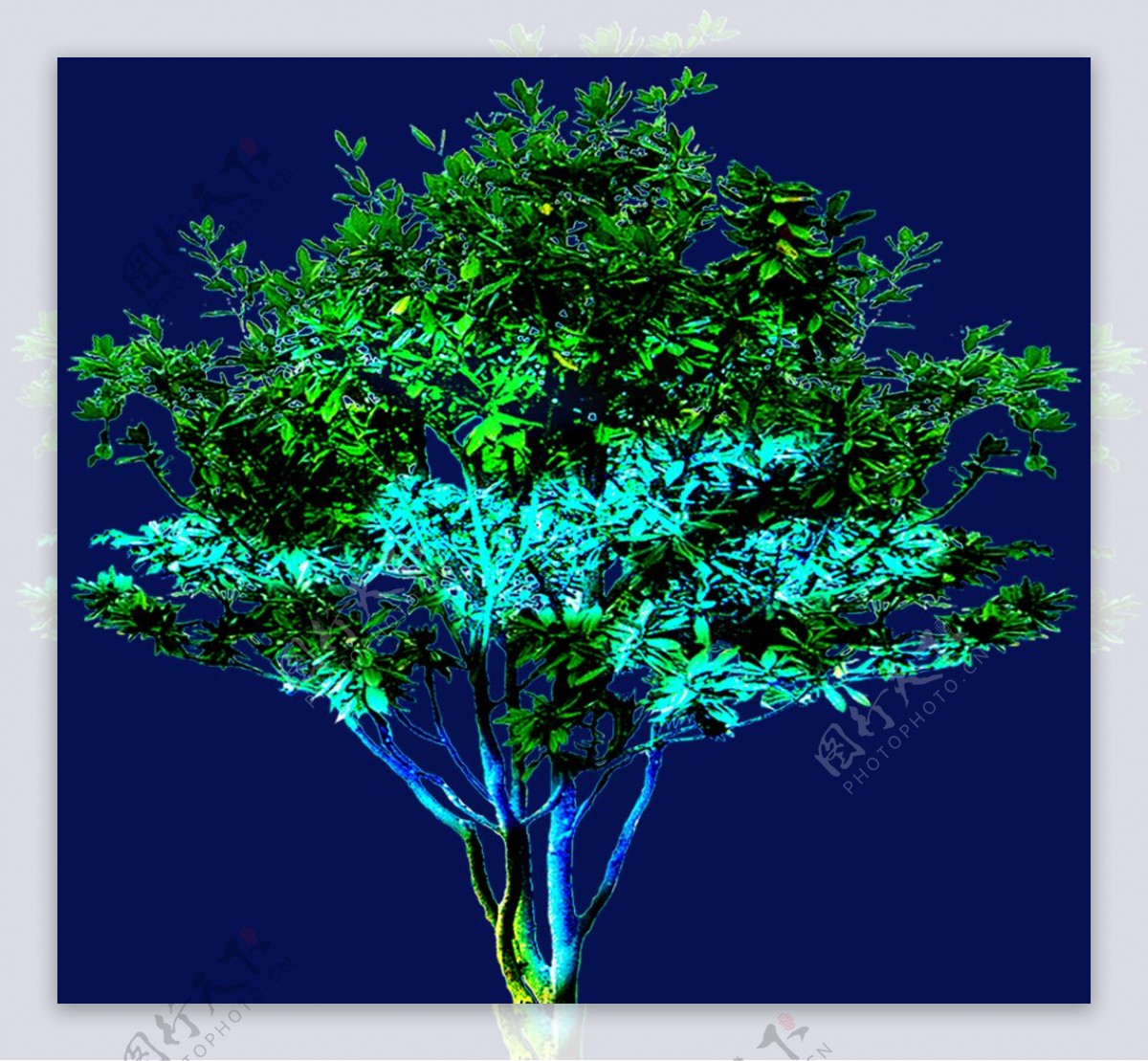 灯光树