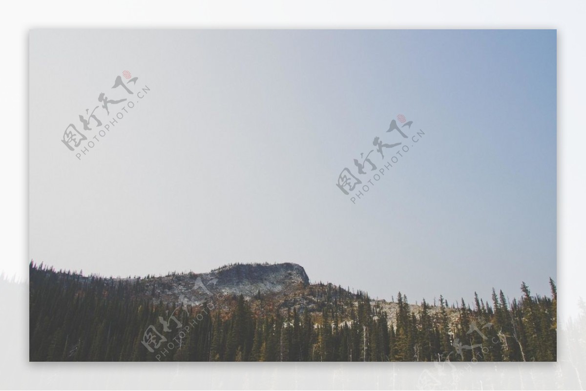 森林群山树木天空风景