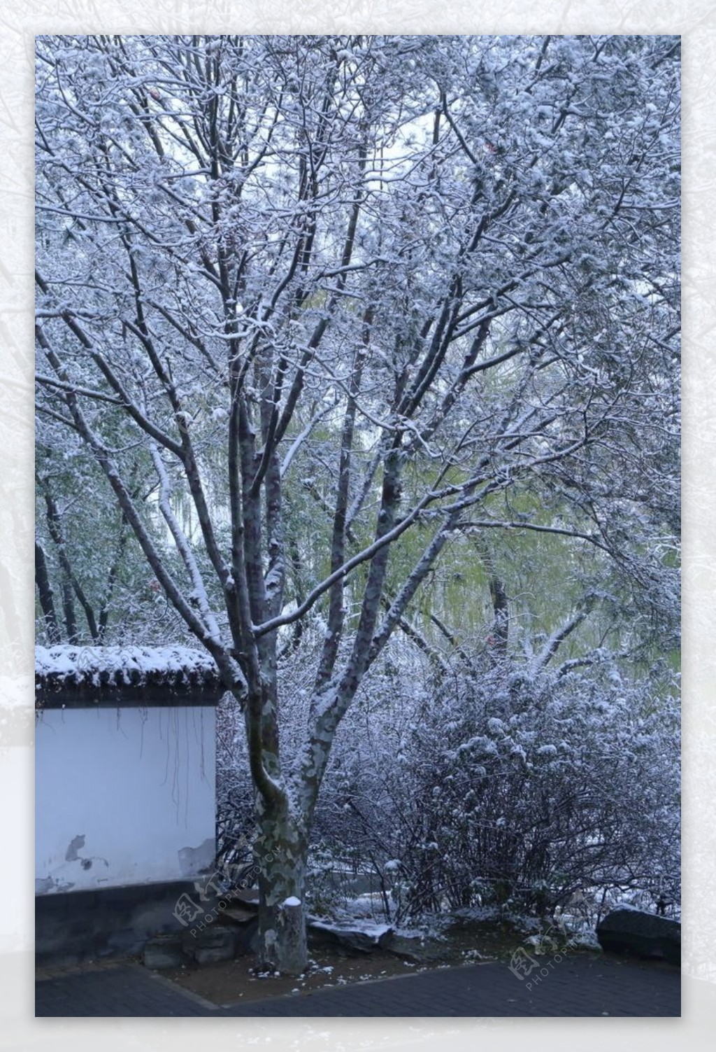 冬日初雪