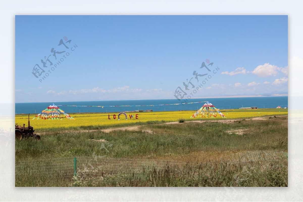 青海湖油菜花花海湖面