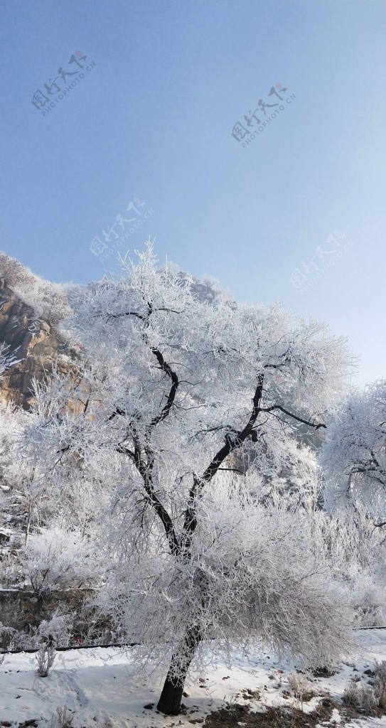 吉林雾凇雪景