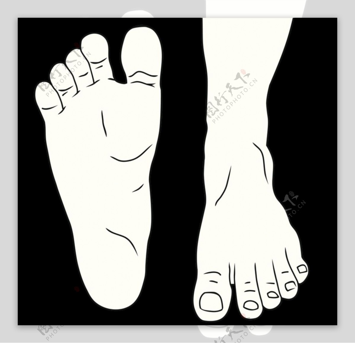 线描的脚脚趾头走路的脚掌