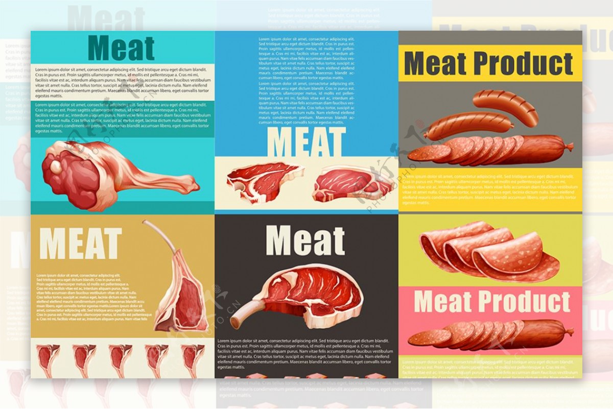 不同肉类的信息图表