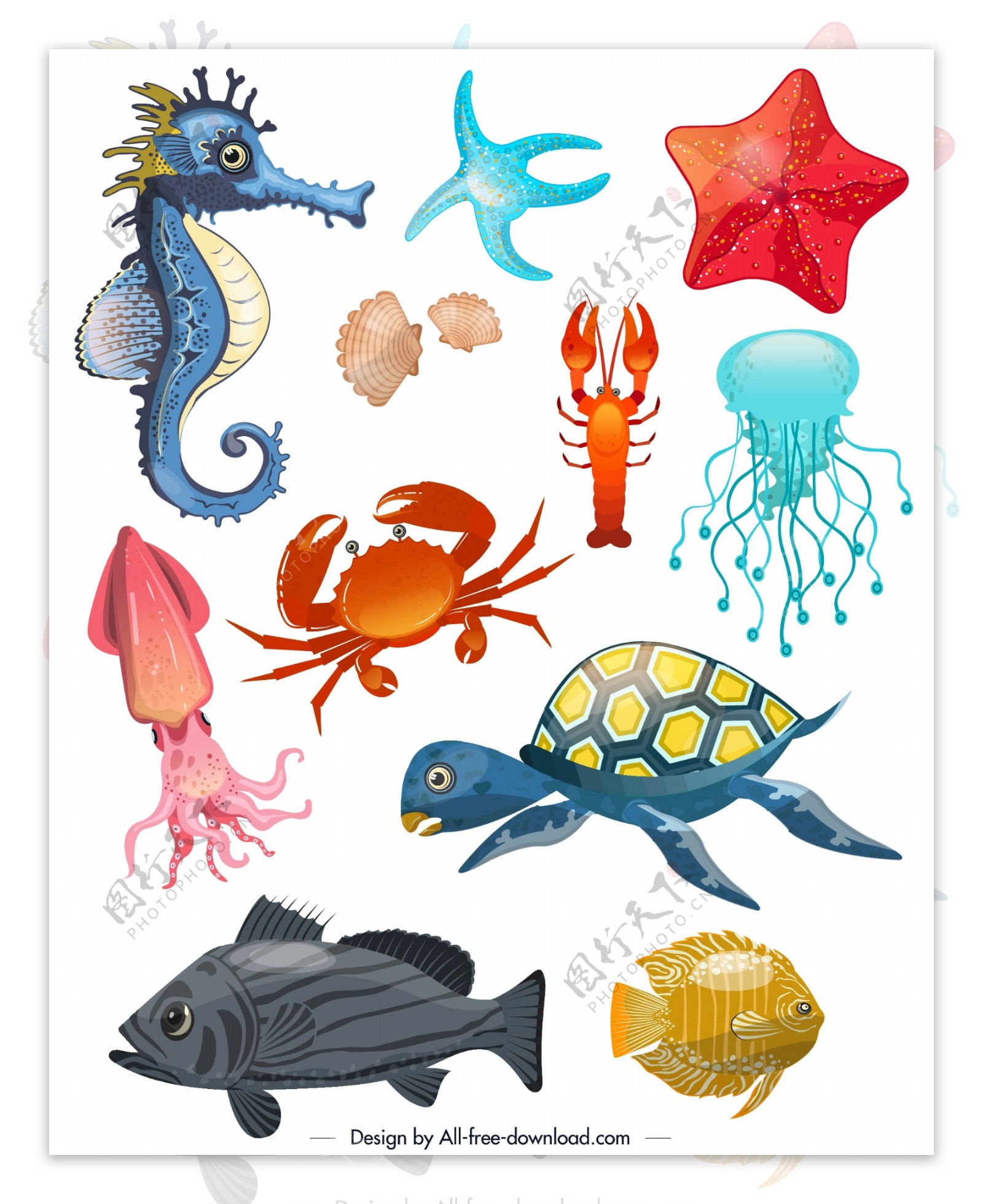 11款创意海洋动物设计