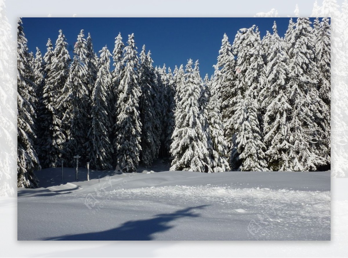 雪中的山林