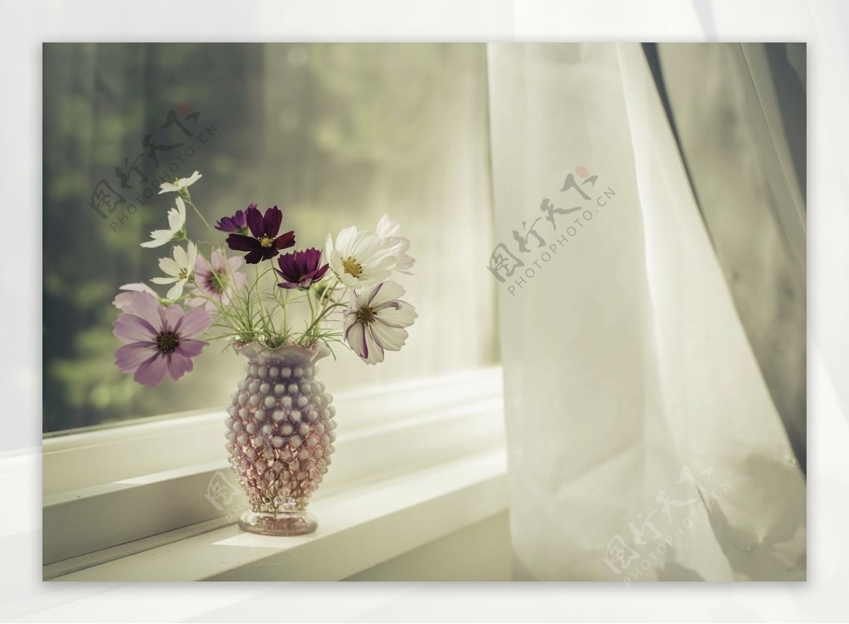 窗台花瓶花朵背景