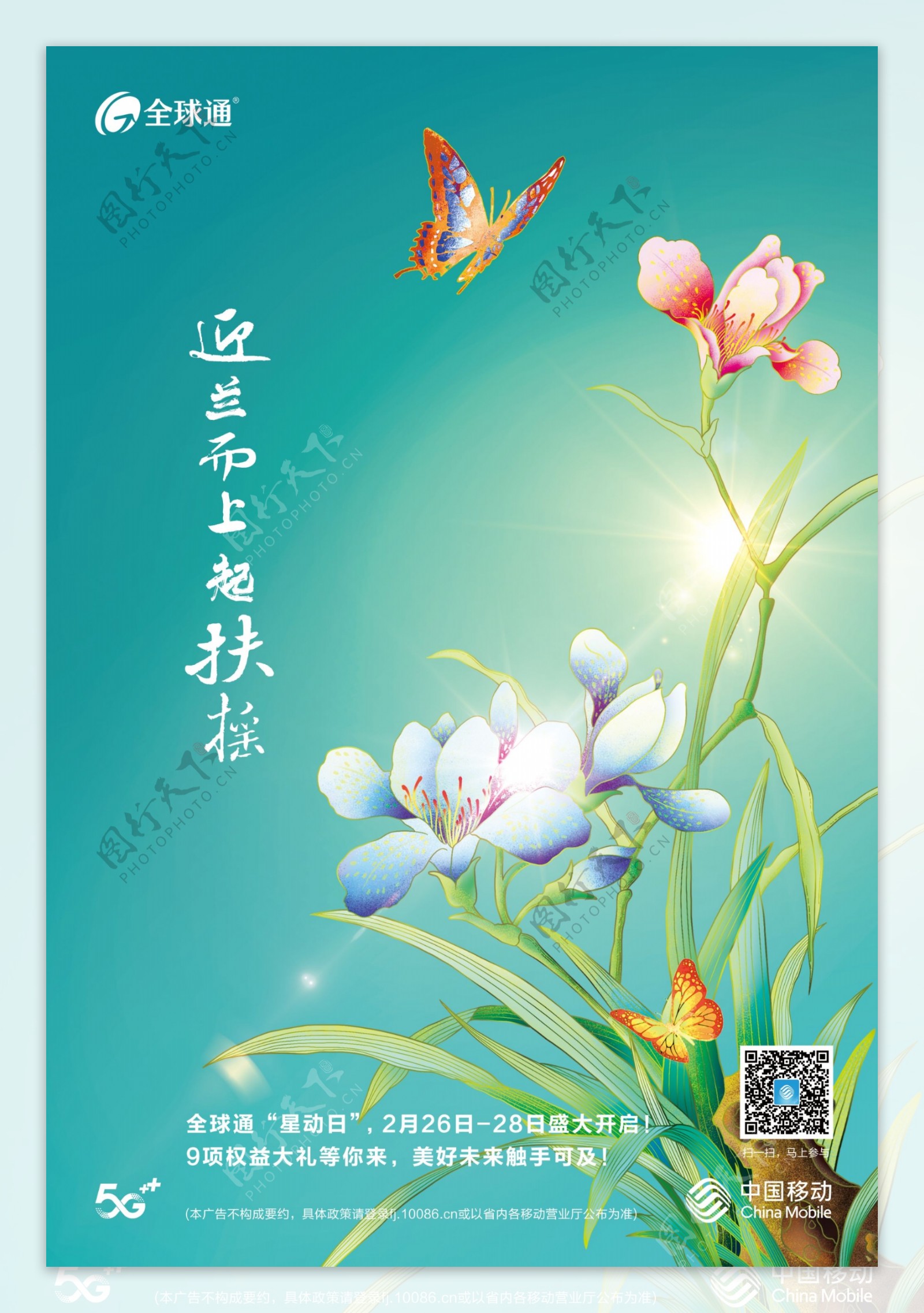 花朵植物海报