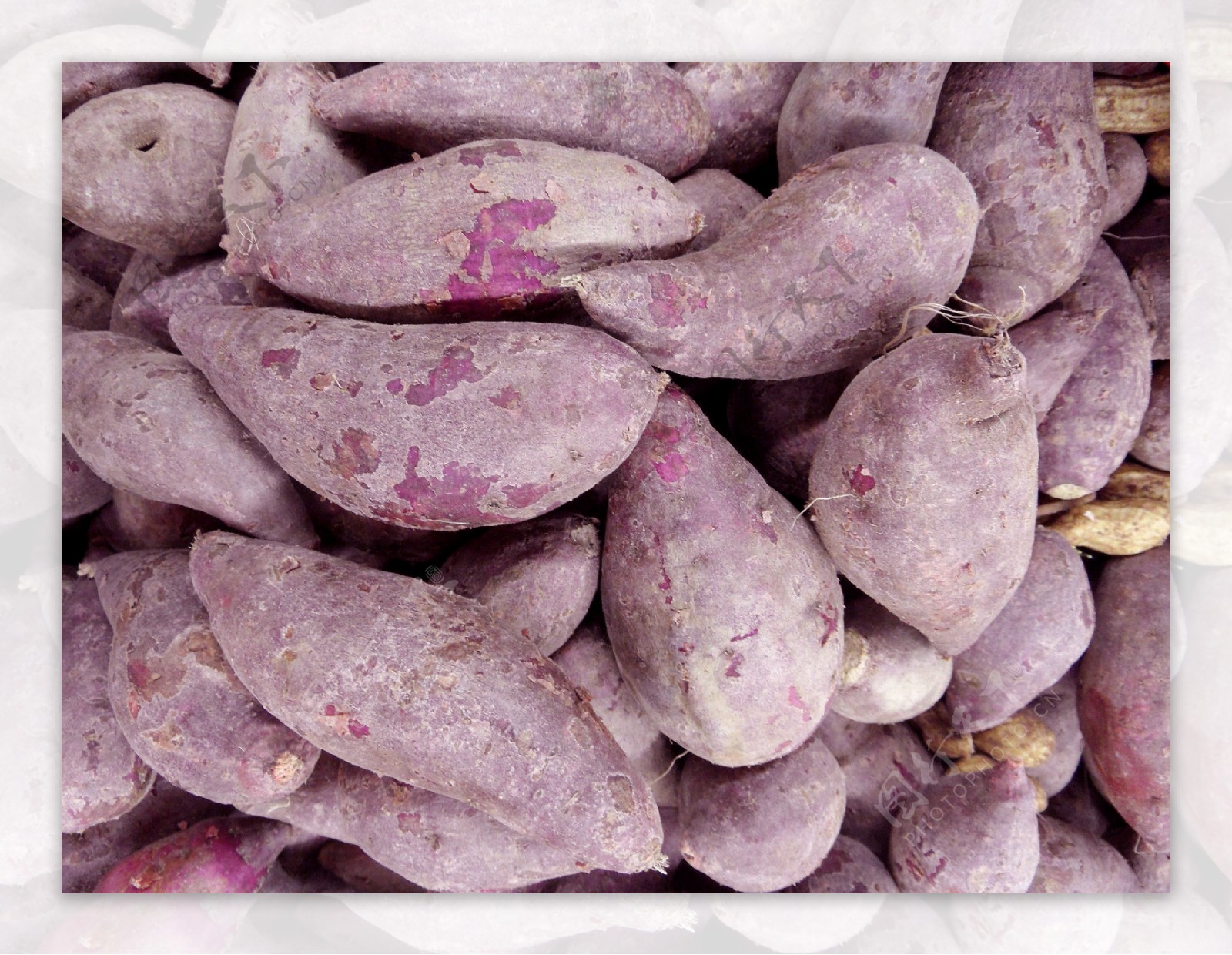 紫皮紫芯带白肉？这个板栗味的紫薯太好吃了！|紫薯|番薯|板栗_新浪新闻