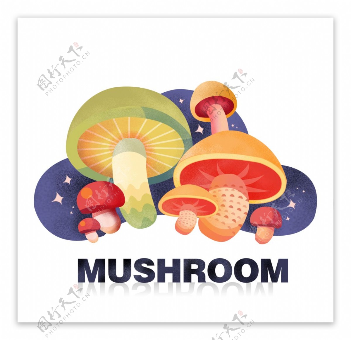 蘑菇插图