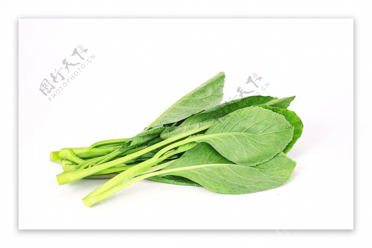 绿色青菜蔬菜高清摄影