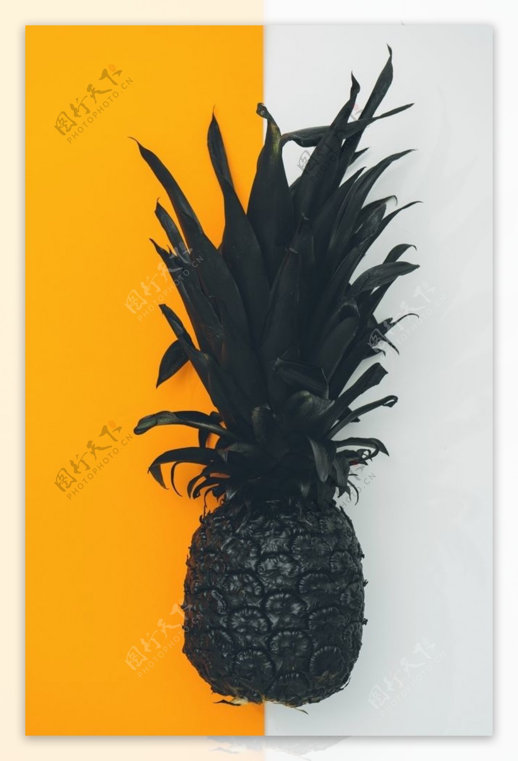菠萝设计黑菠萝