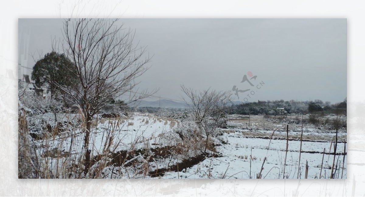 雪景