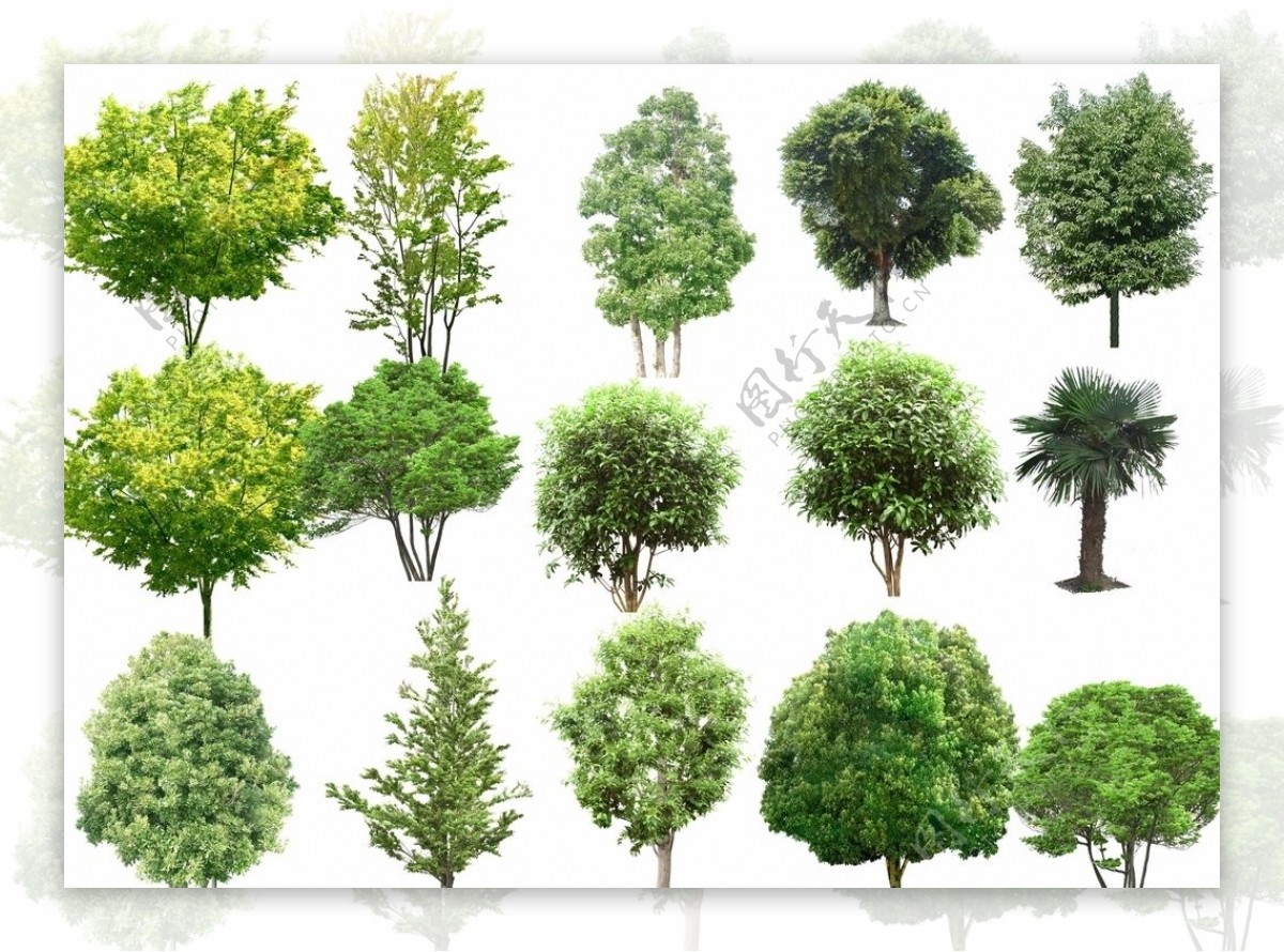 园林景观设计PSD树木植物