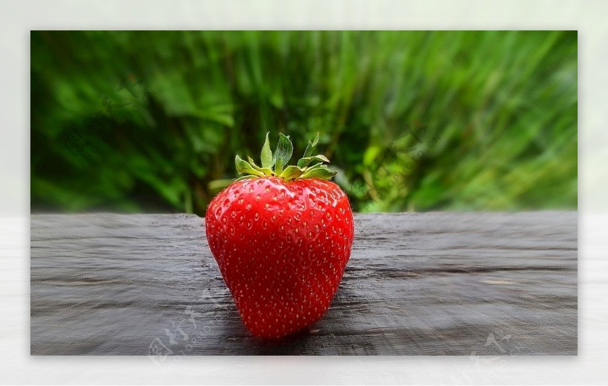 草莓草莓特写草莓摆拍夏天