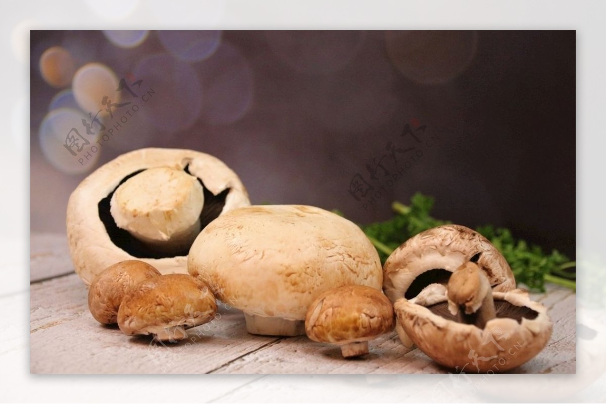 香菇花菇菌菇随州香菇蘑菇