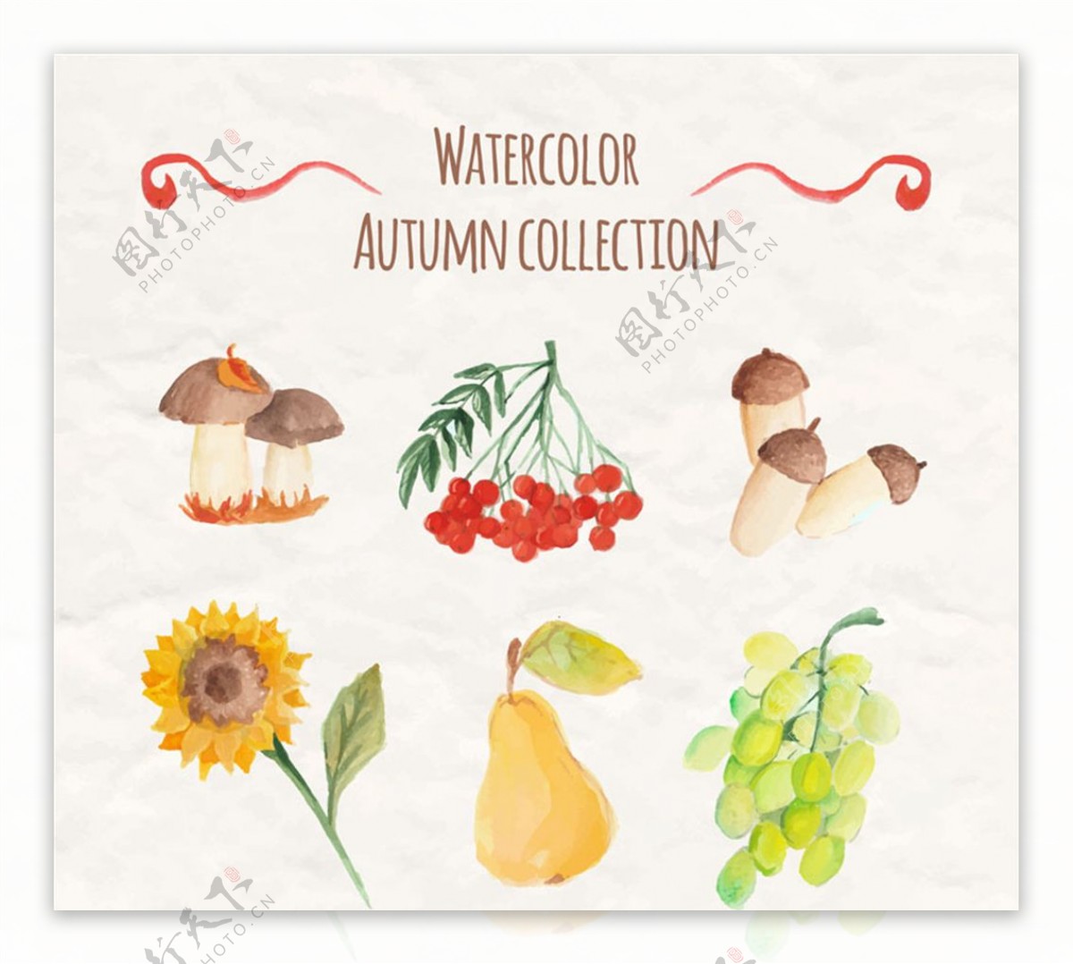 水彩绘秋季植物与水果矢量图