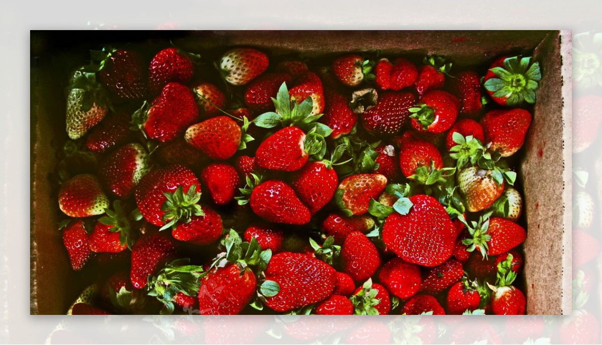 草莓蓝莓浆果果汁
