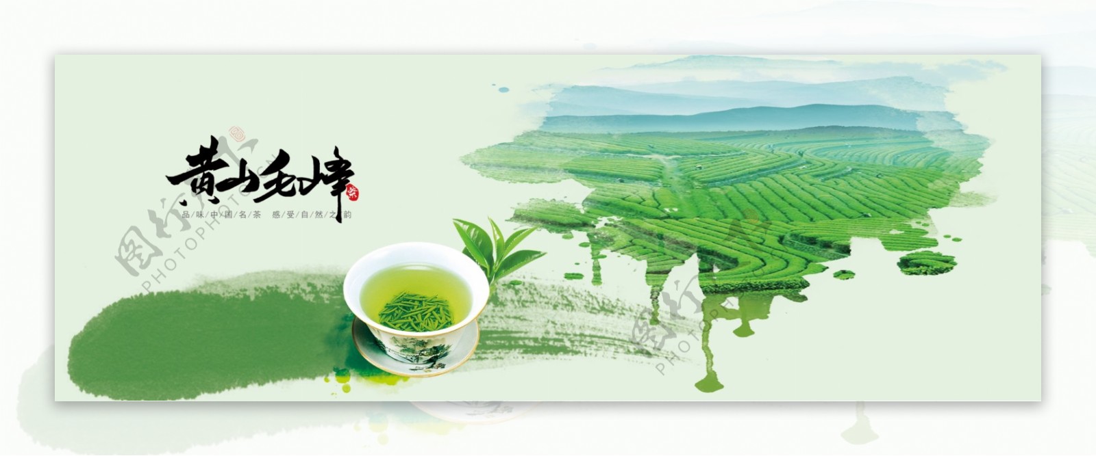 黄山毛峰绿茶茶叶店海报