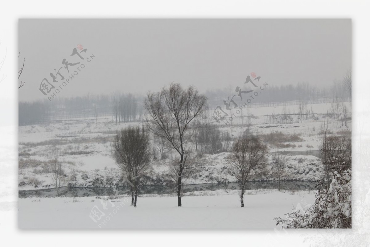 雪景冬天