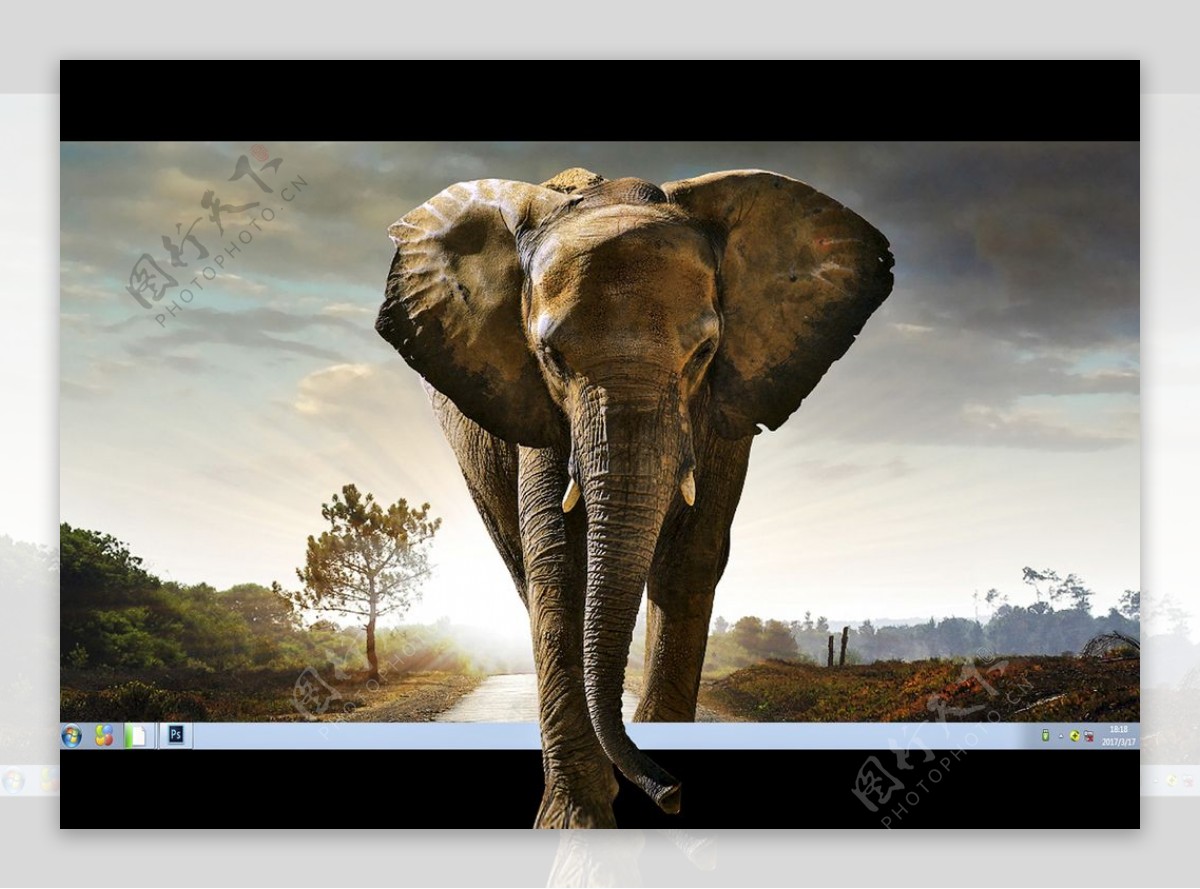 跨出屏幕的大象