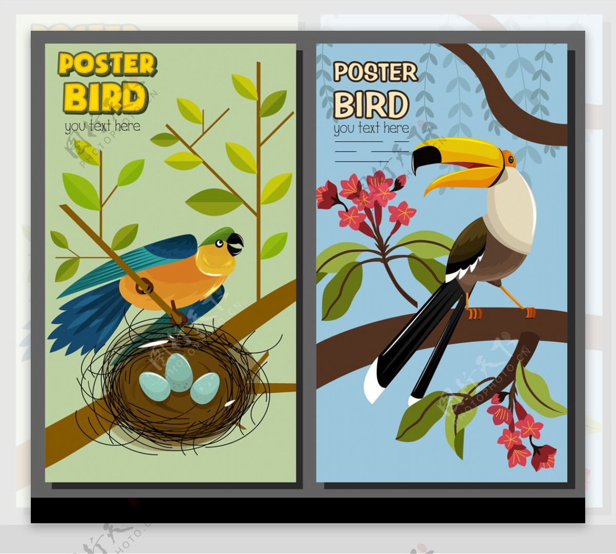 鸟类海报