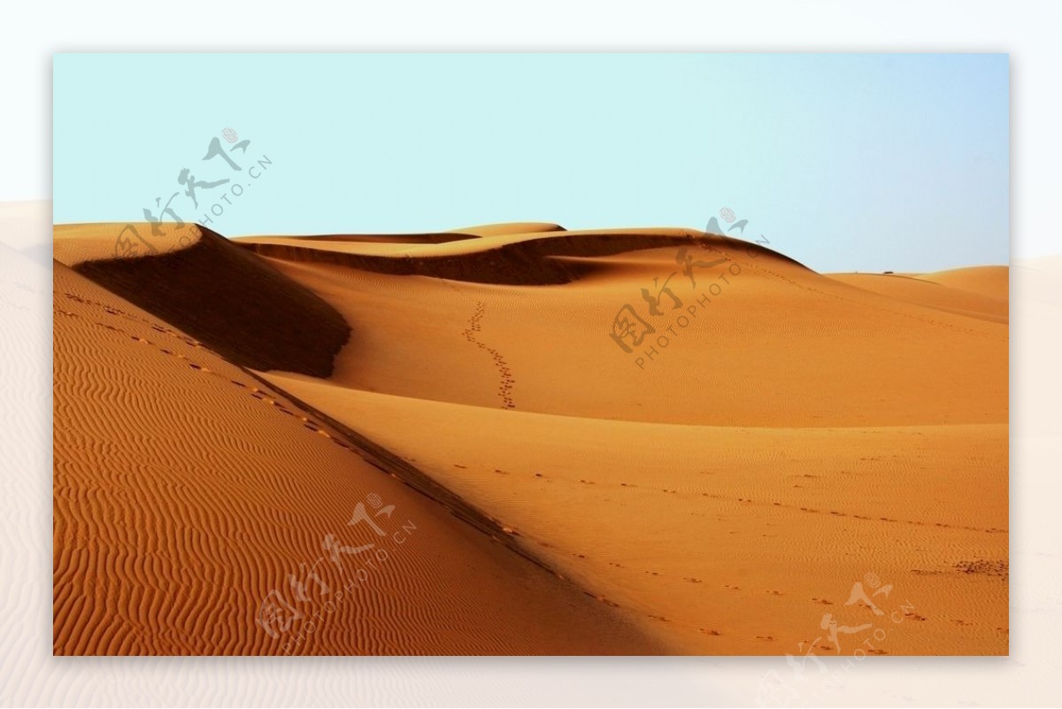 金色沙漠沙丘