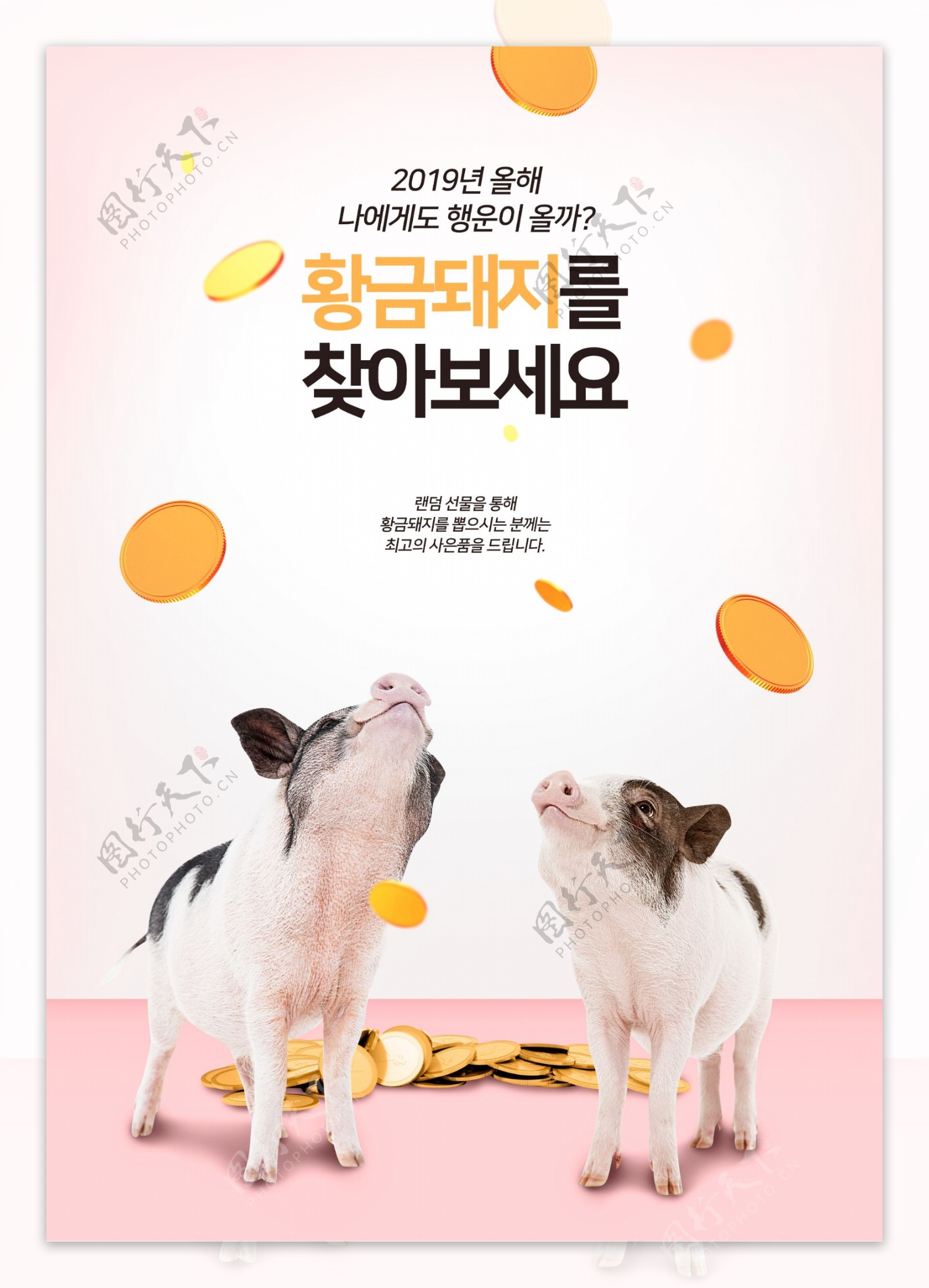 韩式金猪送福海报