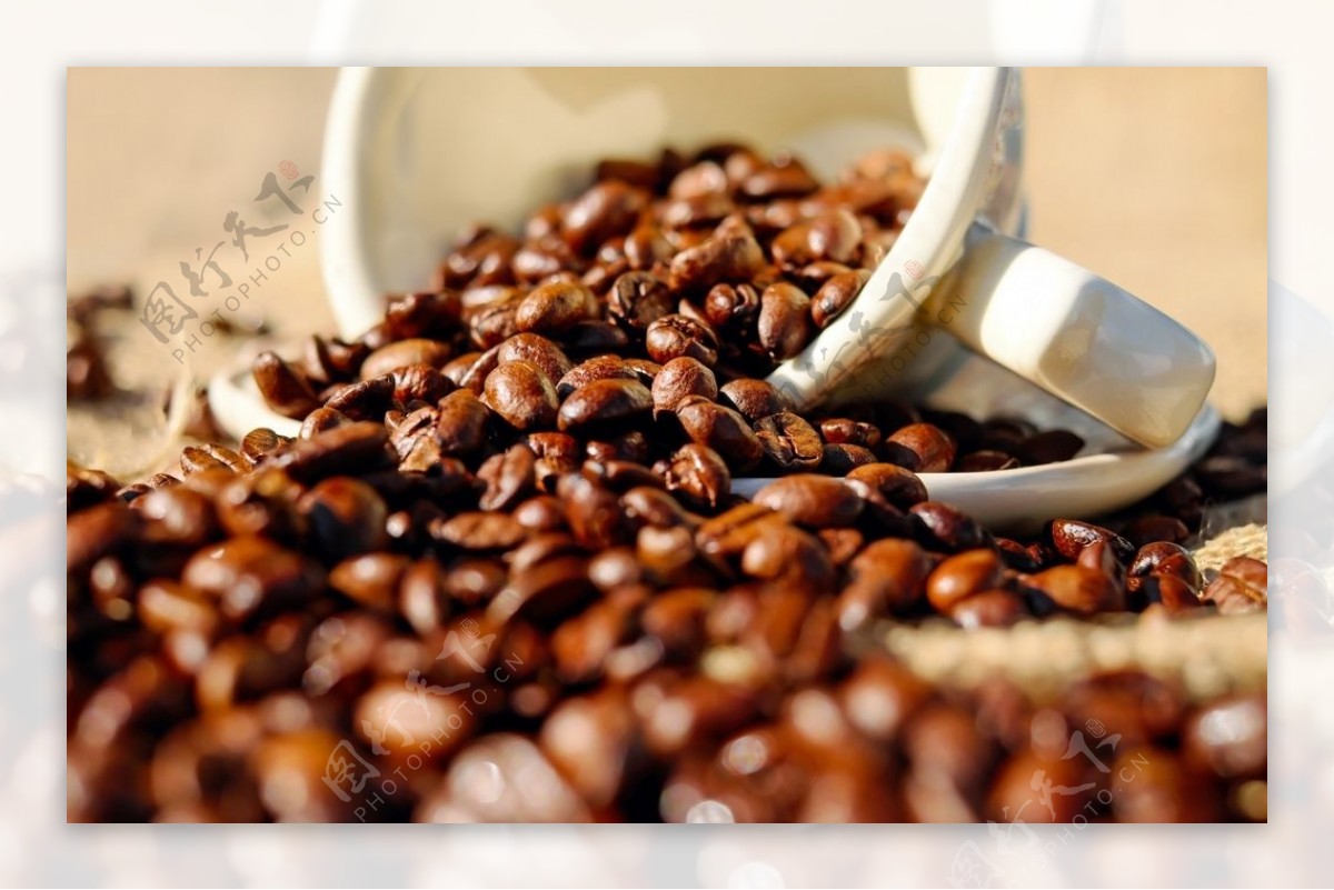 咖啡豆诱人烘焙咖啡杯背景素材