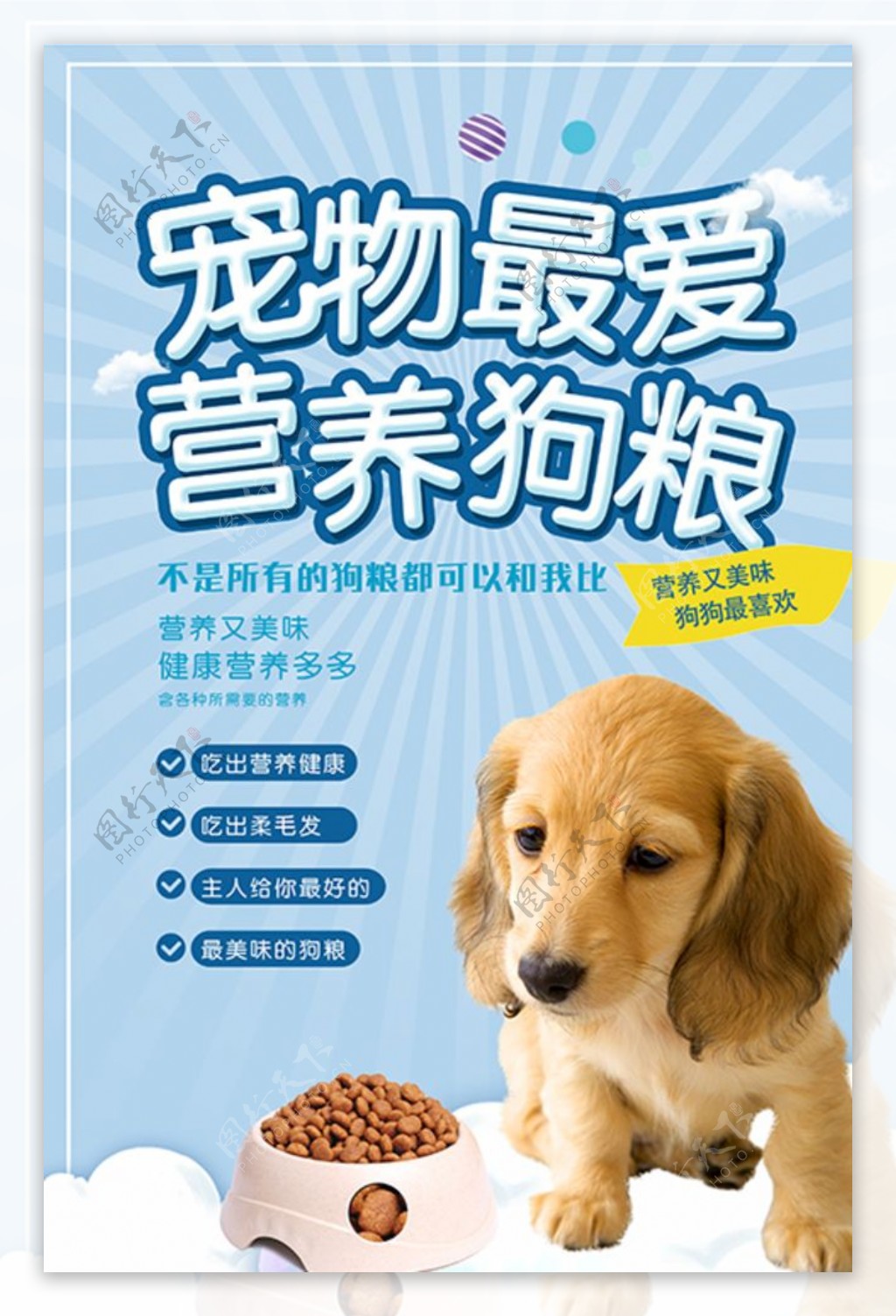 大气宠物最爱营养狗粮海报设计