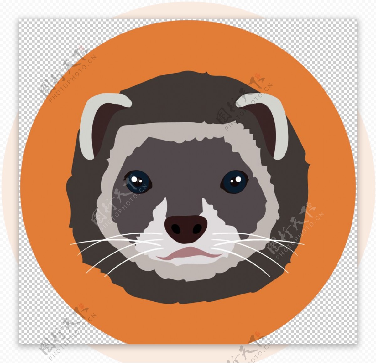 浣熊动物图标标志图形装饰素材
