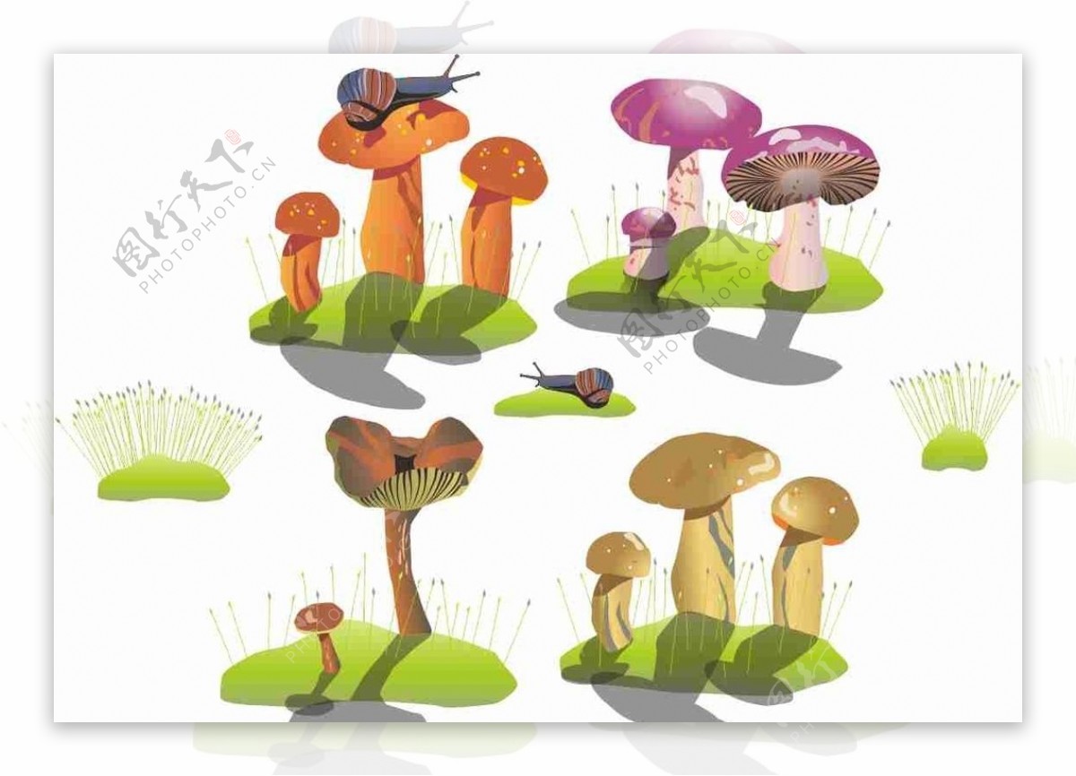 蘑菇蜗牛草坪