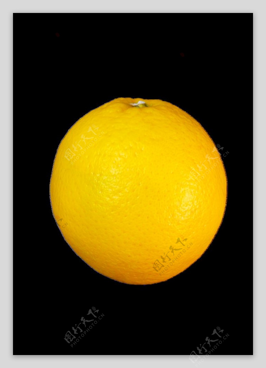 免抠橙子