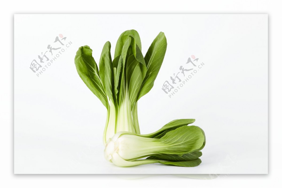 小青菜油菜食物食材背景素材